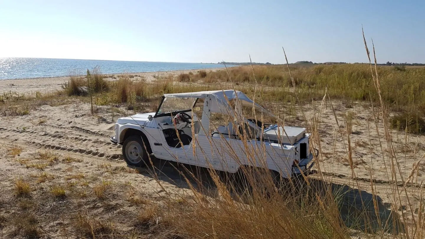 Citroën Méhari Seitenansicht